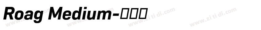 Roag Medium字体转换